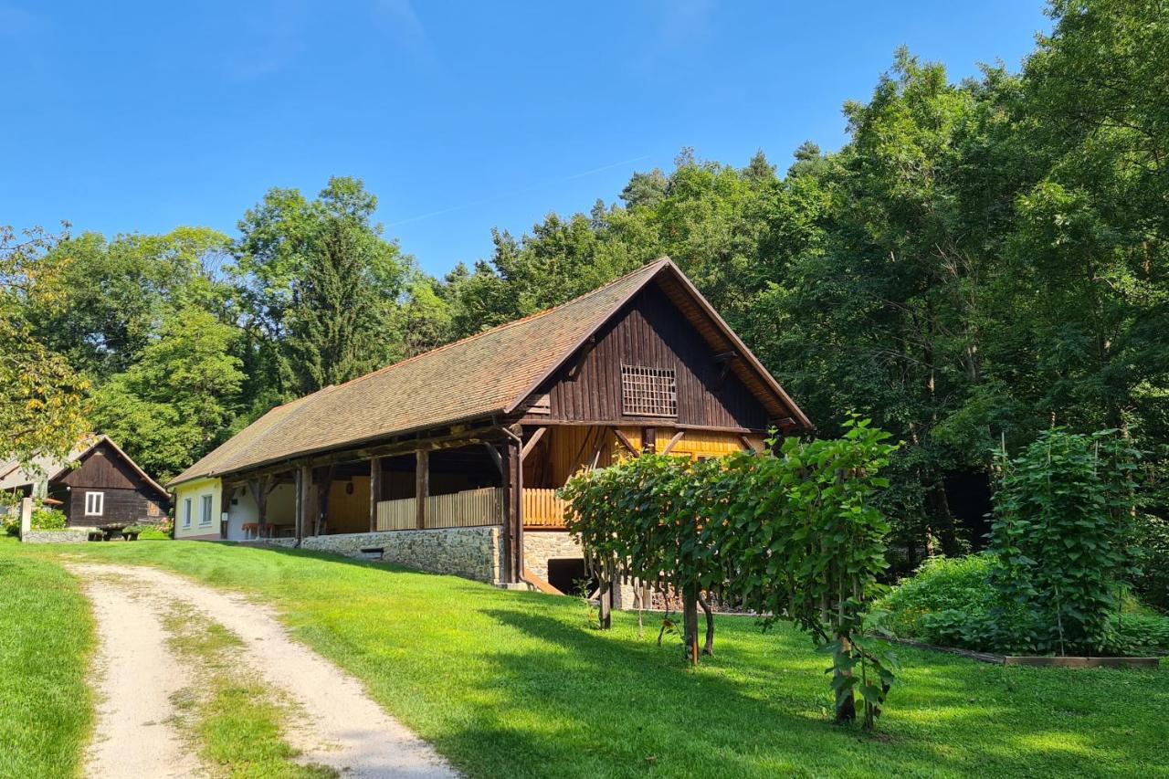 Apartment Vintgar Slovenska Bistrica Bagian luar foto